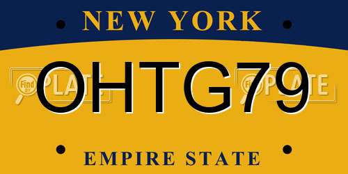 OHTG79 New York License Plate