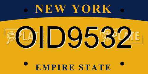 OID9532 New York License Plate