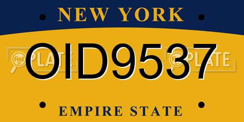 OID9537 New York License Plate