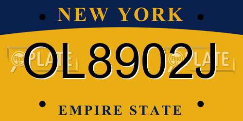 OL8902J New York License Plate