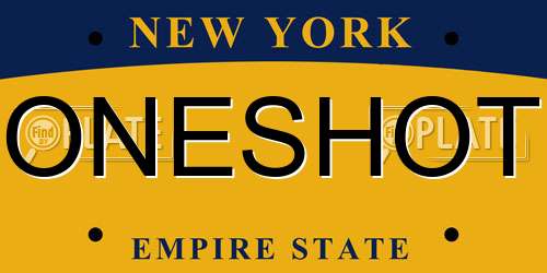 ONESHOT New York License Plate