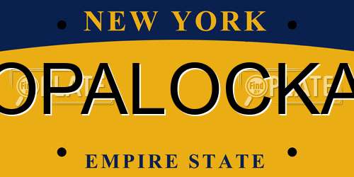 OPALOCKA New York License Plate
