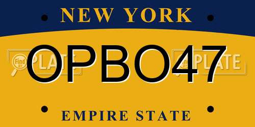 OPBO47 New York License Plate