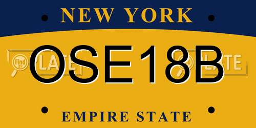 OSE18B New York License Plate