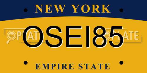 OSEI85 New York License Plate