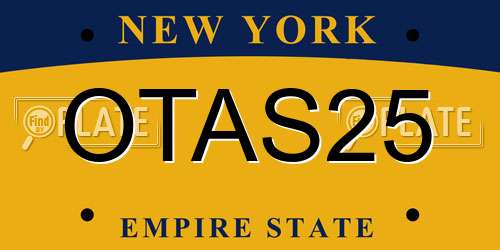 OTAS25 New York License Plate