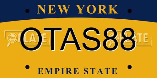 OTAS88 New York License Plate