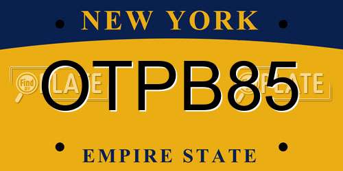 OTPB85 New York License Plate
