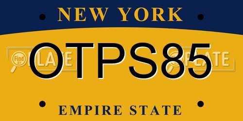 OTPS85 New York License Plate