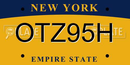 OTZ95H New York License Plate