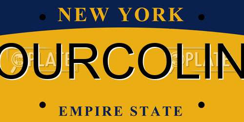 OURCOLIN New York License Plate