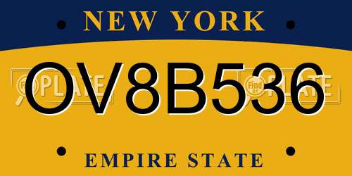 OV8B536 New York License Plate