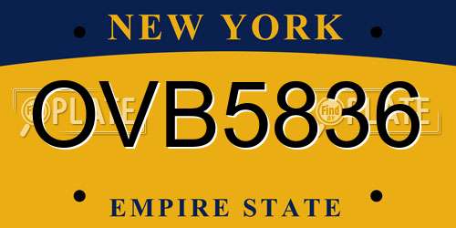 OVB5836 New York License Plate