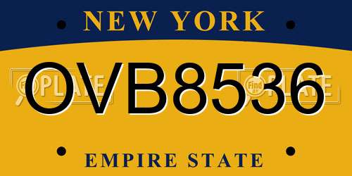OVB8536 New York License Plate