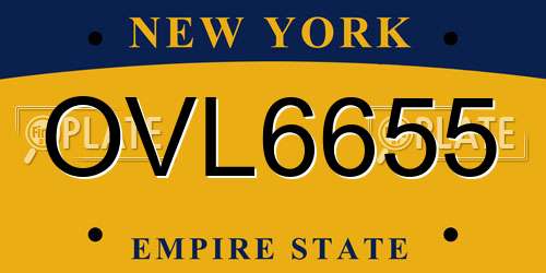 OVL6655 New York License Plate