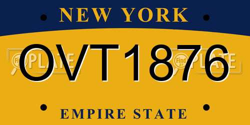 OVT1876 New York License Plate