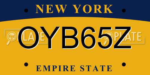 OYB65Z New York License Plate