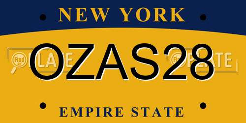 OZAS28 New York License Plate