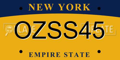 OZSS45 New York License Plate