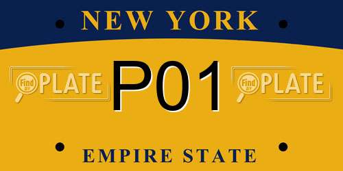 P01 New York License Plate