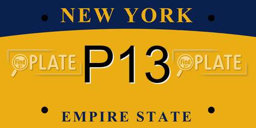 P13 New York License Plate