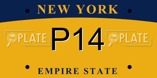 P14 New York License Plate