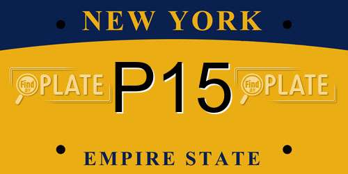 P15 New York License Plate