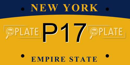 P17 New York License Plate