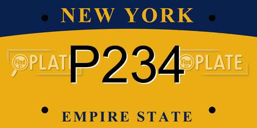 P234 New York License Plate