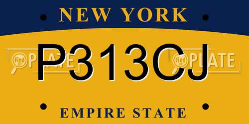 P313CJ New York License Plate