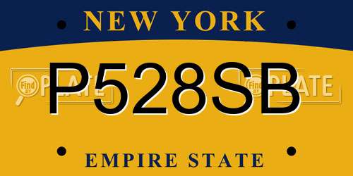 P528SB New York License Plate