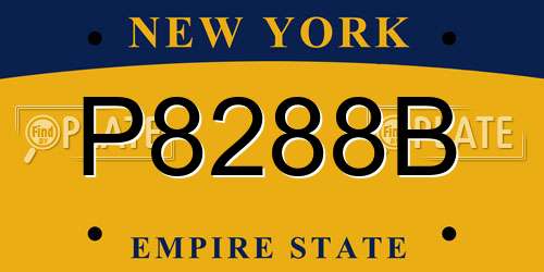 P8288B New York License Plate