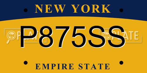 P875SS New York License Plate