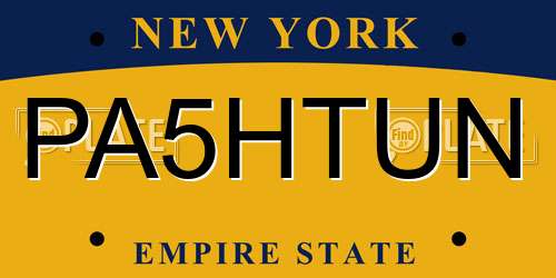 PA5HTUN New York License Plate