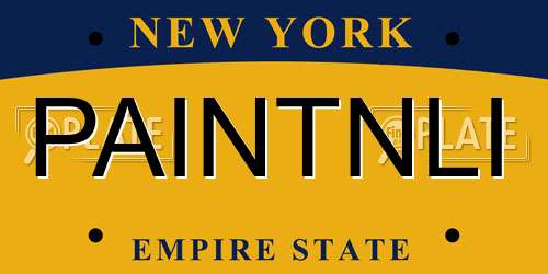 PAINTNLI New York License Plate