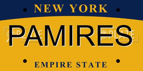 PAMIRES New York License Plate
