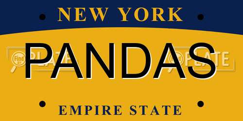 PANDAS New York License Plate