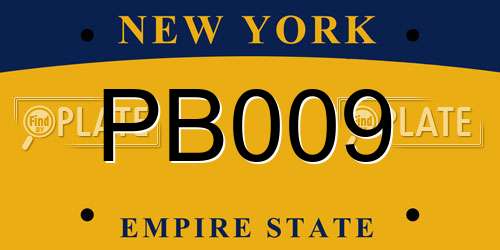 PB009 New York License Plate