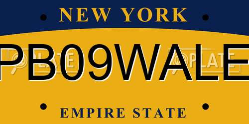 PB09WALE New York License Plate