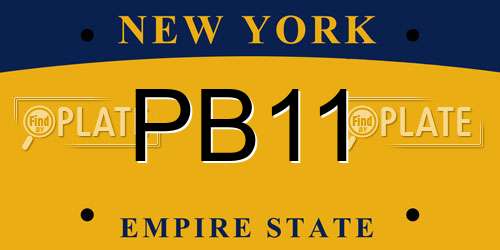 PB11 New York License Plate