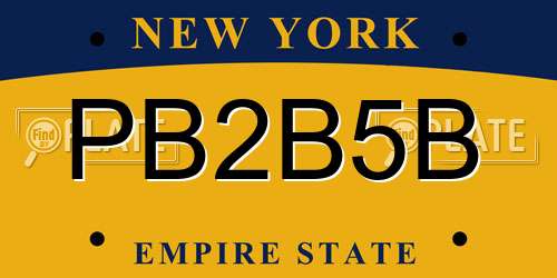 PB2B5B New York License Plate
