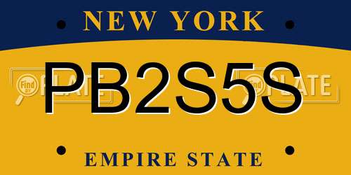 PB2S5S New York License Plate