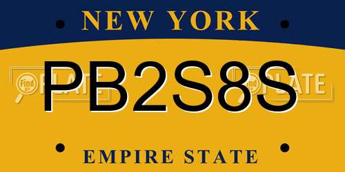 PB2S8S New York License Plate