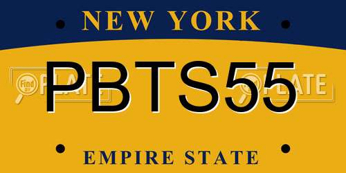 PBTS55 New York License Plate