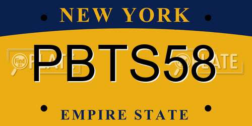 PBTS58 New York License Plate