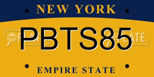 PBTS85 New York License Plate
