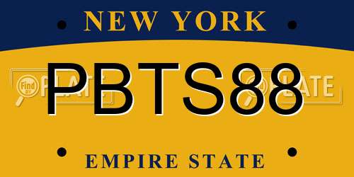 PBTS88 New York License Plate