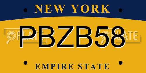 PBZB58 New York License Plate