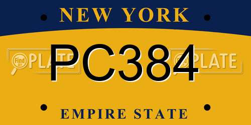 PC384 New York License Plate