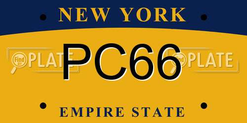 PC66 New York License Plate